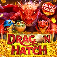 quay hũ Dragon hatch
